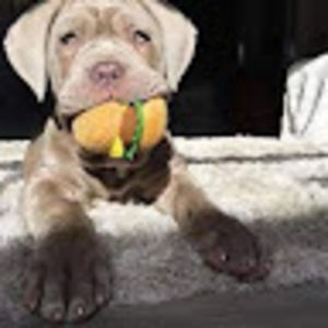 Meet your Posher, Bryanna